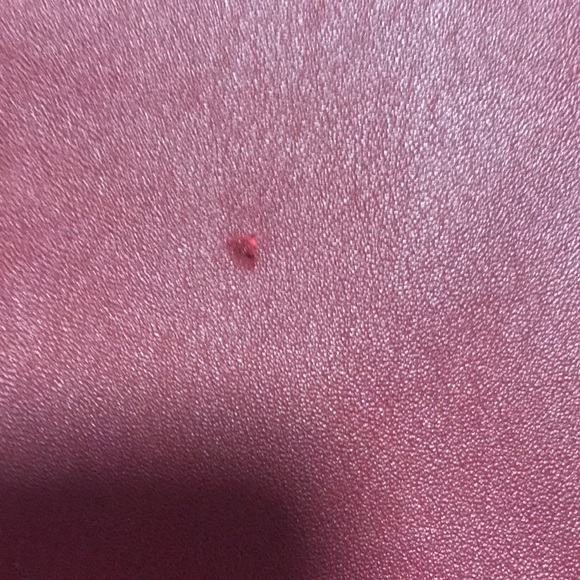 Leather jacket - Picture 5 of 8